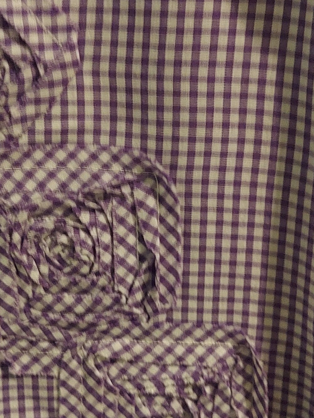 C J Banks Purple Gingham Checked Blouse - Picture 3 of 8